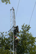 Windmessung im Wald